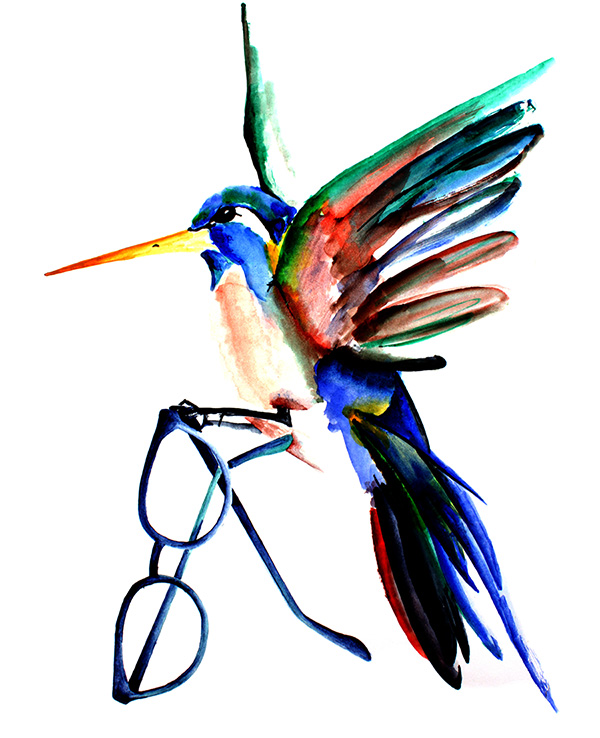 Colibri