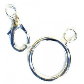 Small silvery ring